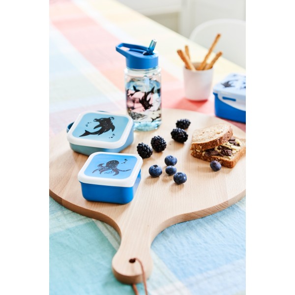 Petit Monkey Lunchboxen Brotdosen Set Tiere grün