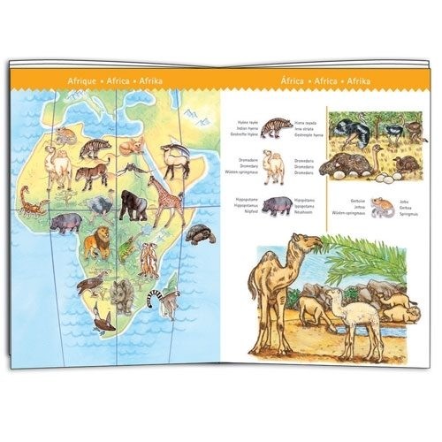 Djeco Entdeckerpuzzle World Animals 5+