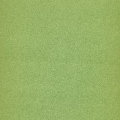 Caselio Surprise Unitapete Dschungelgrün 14297422