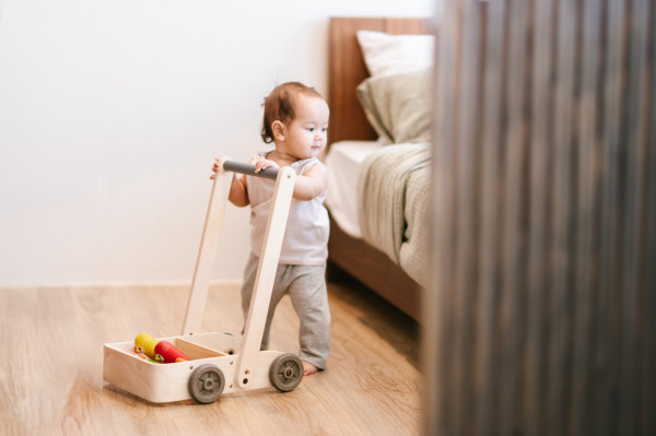 Plantoys Lauflernwagen Birdy Walker 1+
