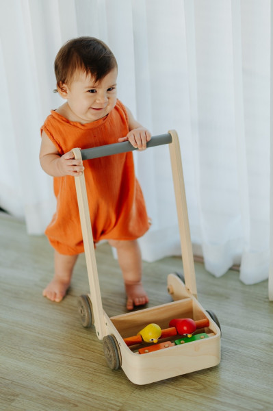 Plantoys Lauflernwagen Birdy Walker 1+