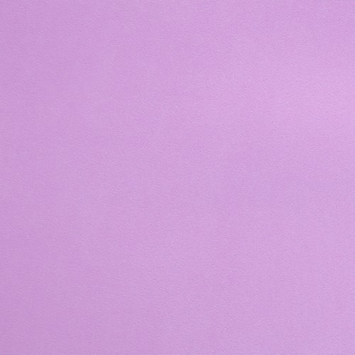 Caselio Girls Only Tapete Uni helles lila 56675302