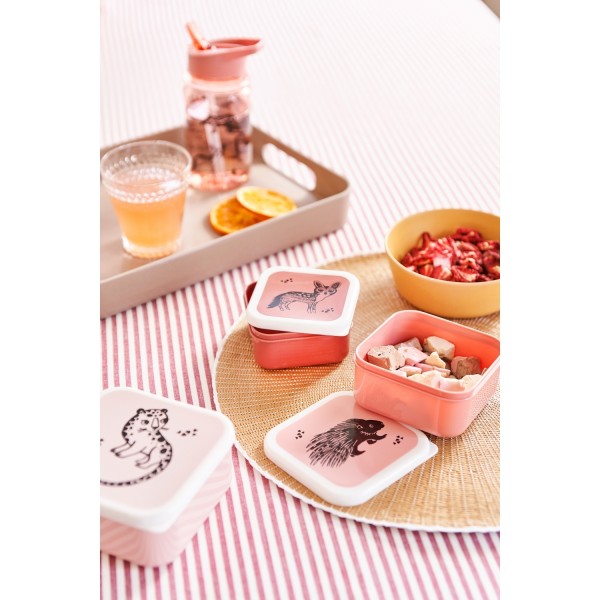 Petit Monkey Lunchboxen Brotdosen Set Tiere