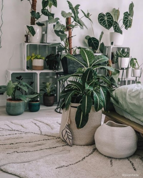 Lorena Canals Teppich Monstera Natural